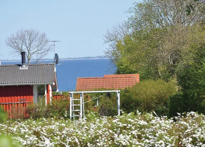 Raevebaek Xi * Sarup